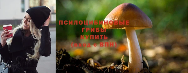 не бодяженный Красноперекопск