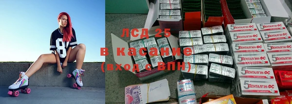 амф Кукмор