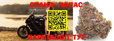 ALPHA-PVP Камышлов